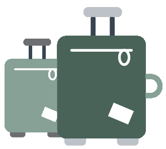 baggage-transfer